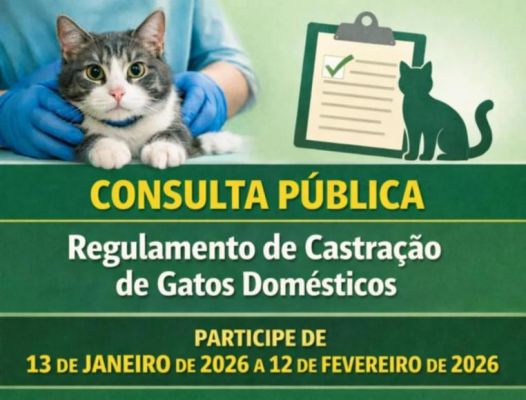 Consulta P&uacute;blica - Regulamento de Castra&ccedil;&atilde;o de Gatos Dom&eacute;sticos
