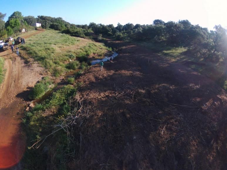 Conservação e reabilitação da Ribeira de São Pedro e açude