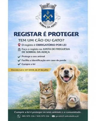 Registo de C&atilde;es e Gatos na Junta de Freguesia &eacute; Obrigat&oacute;rio por Lei