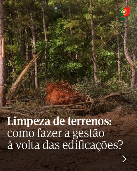 Limpeza de Terrenos prazo a decorrer