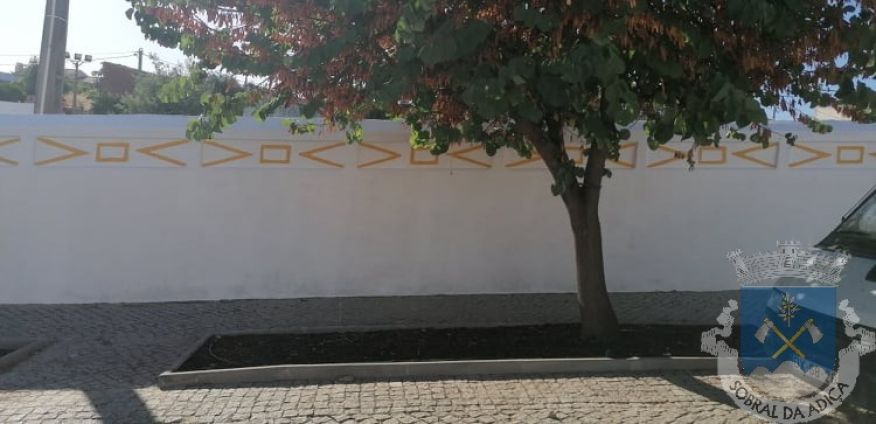 Caiados e Limpezas 2021 - 2ª Fase