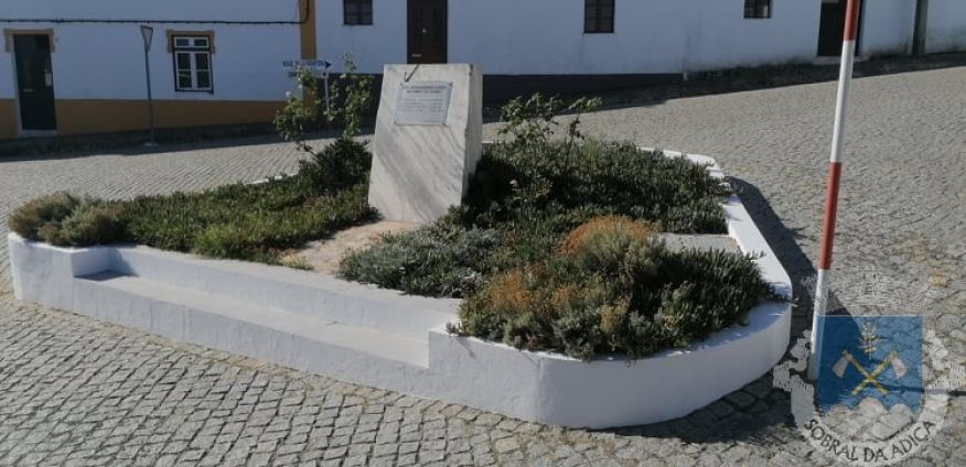 Caiados e Limpezas 2021 - 1ª Fase