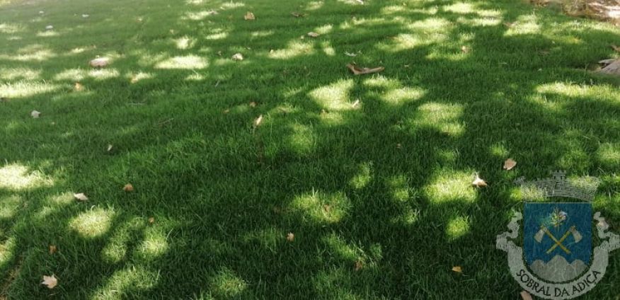 Intervenção no Parque de Merendas do Gargalão